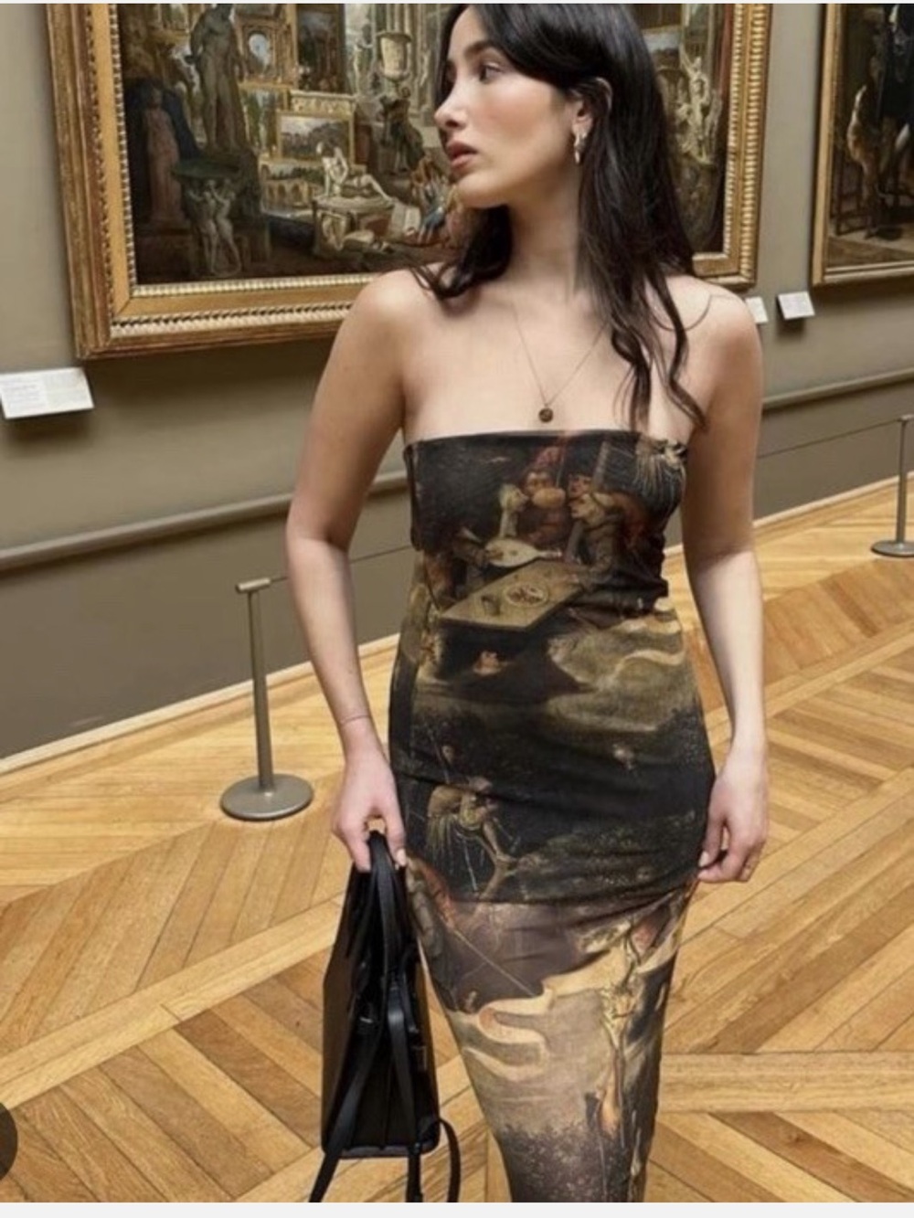 Zara Mesh Tube Renaissance Printed Dress